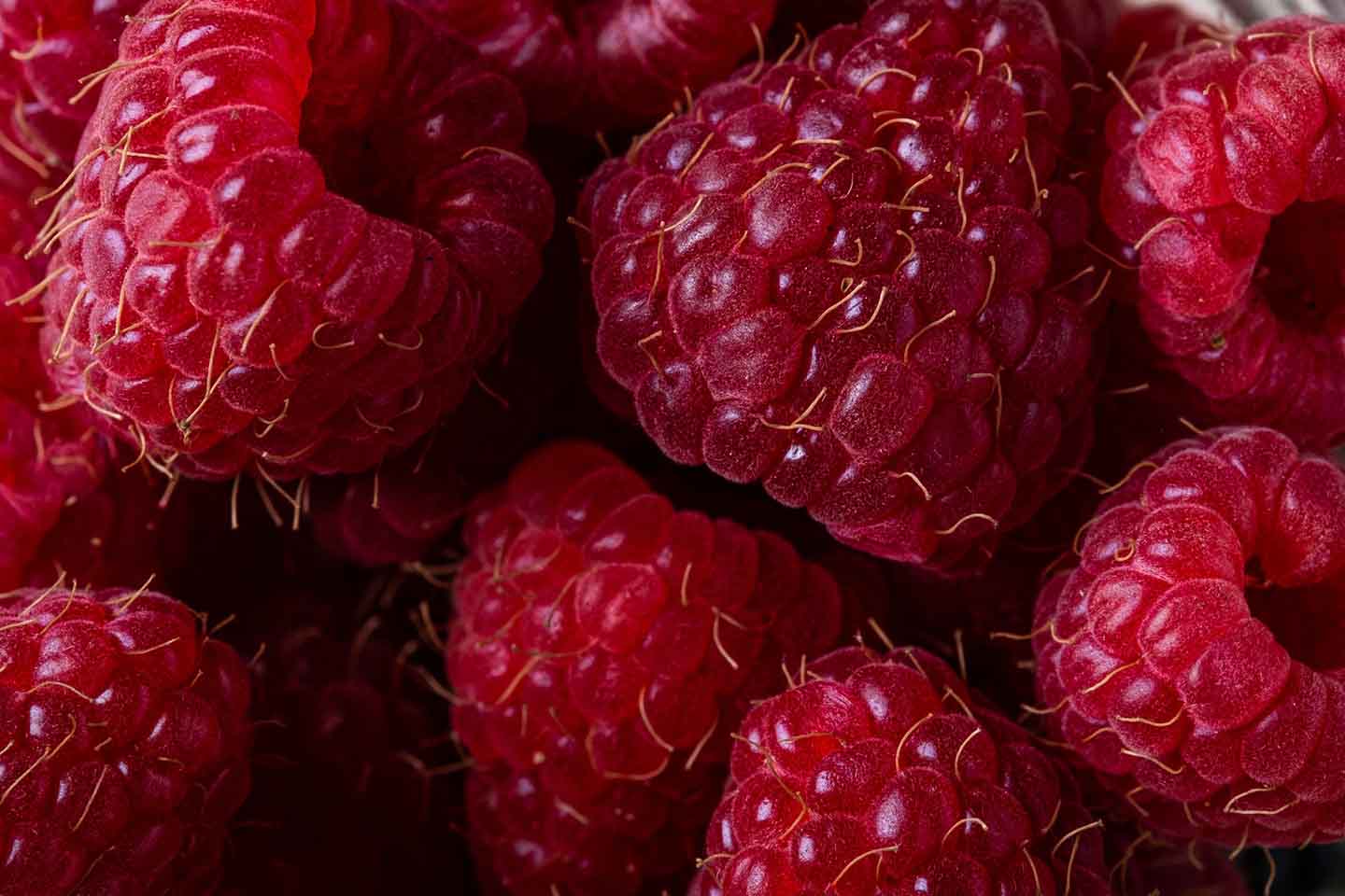 Image de framboises